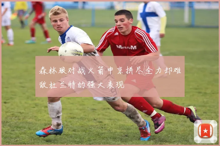 森林狼对战火箭申京拼尽全力却难敌杜兰特的强大表现